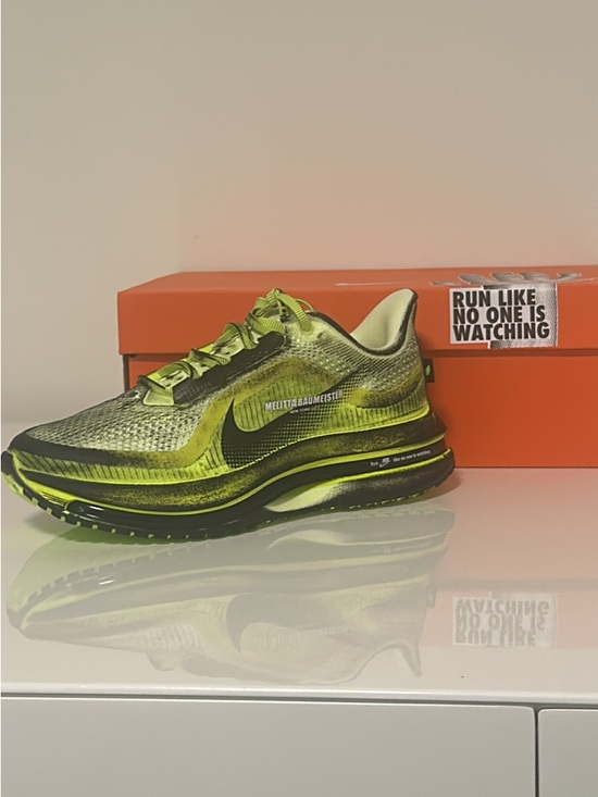 Nike Shoes - Nike Air Zoom Pegasus Premium